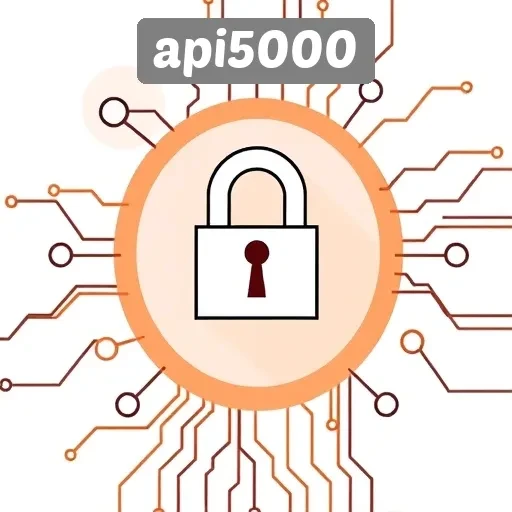 Analisis Keamanan dan Privasi di Situs Api5000